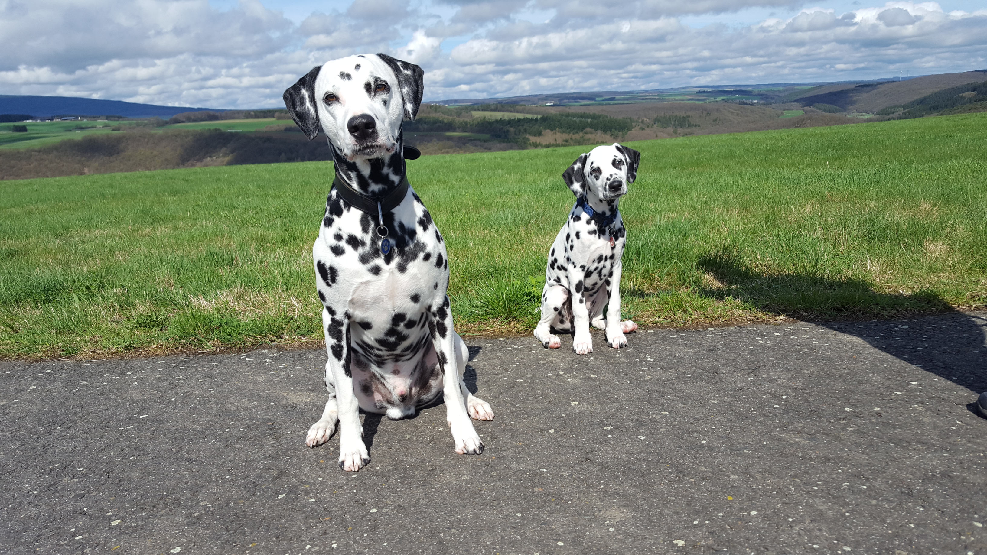 Filou und Ivette